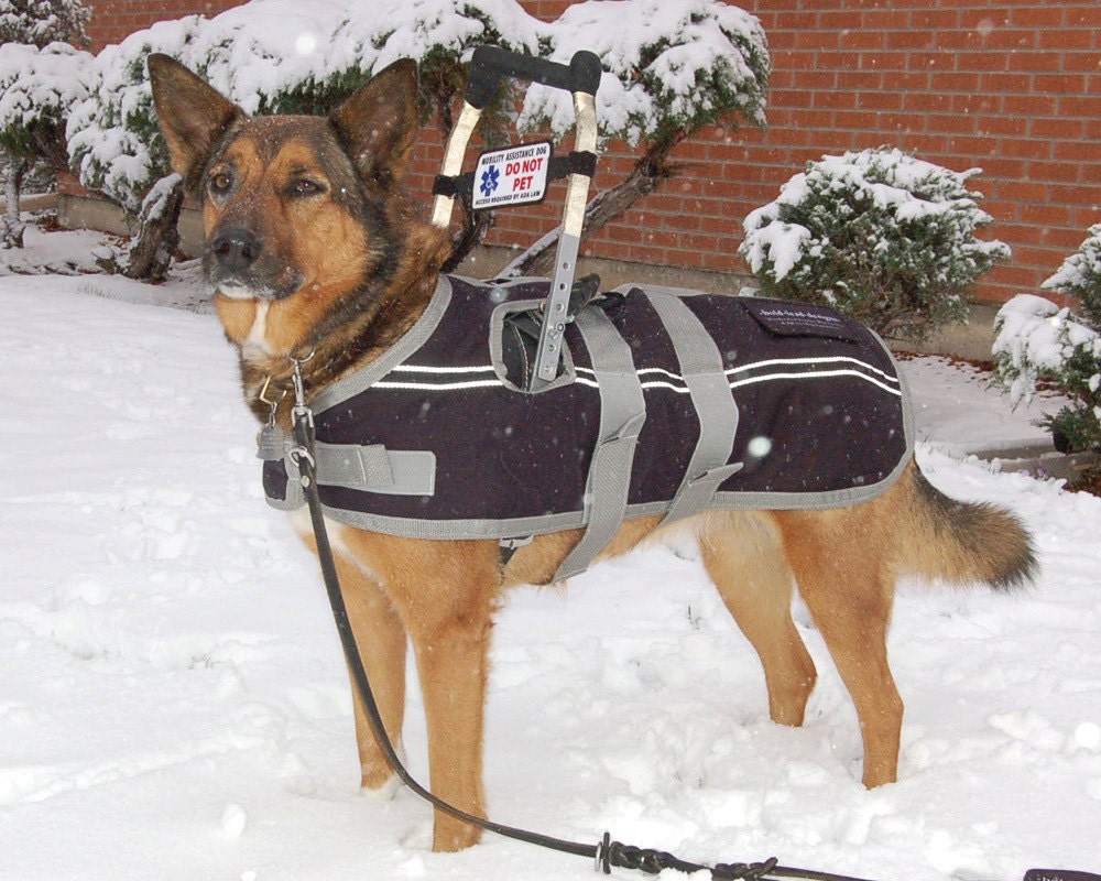 SERVICE DOG COAT custom made to fit over your dog's by COZYHORSE
