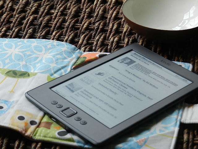 Reservd for Andrea Quilted Kindle Fire HD Cover Pick Your Own Fabrics