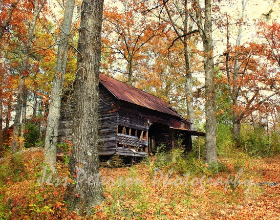 Fall Colors Photography, Autumn Leaves, GA forest wall art  nougat textured green brown orange red Landscape Photo 11x14 Metallic Paper