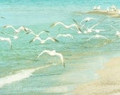 Seagull Photo, Beach Photography, Pastel Aqua Blue Ocean Seashore Picture, Nature Flock of Birds, 5x5 inch Print - Aloft