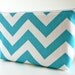 Danielle Cosmetic Bag - Aqua Chevron print