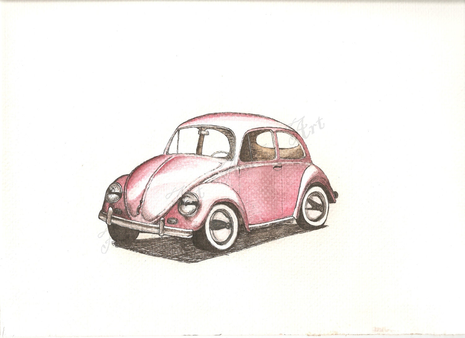 Beetle