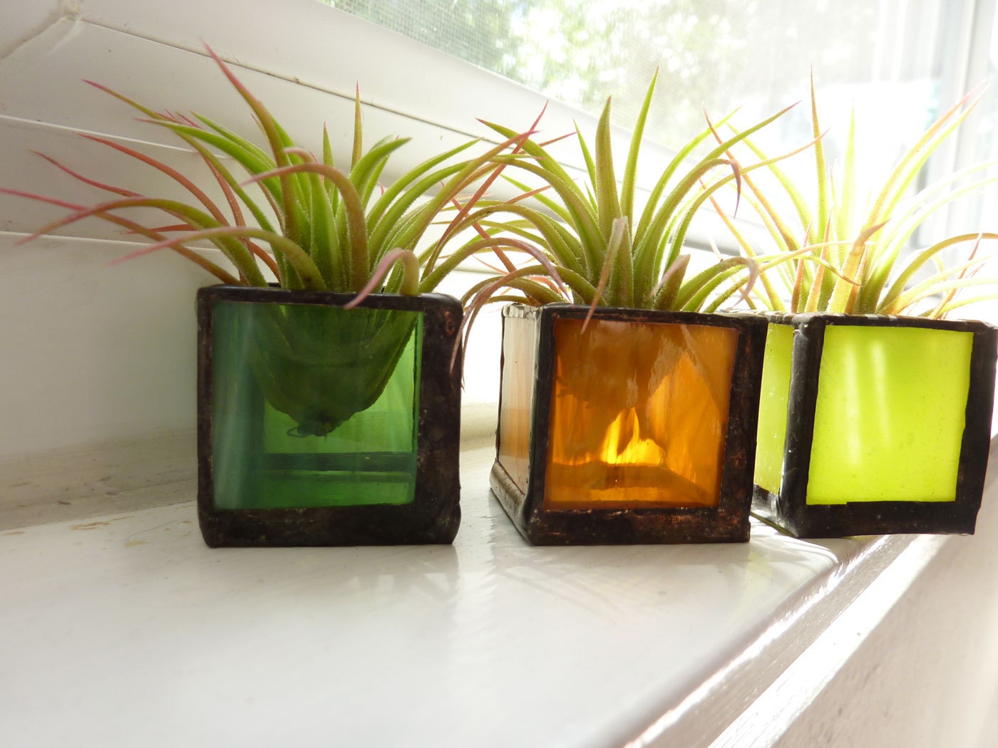 Air plant holder -  stained glass cubes with Tillandsia Air Plant-