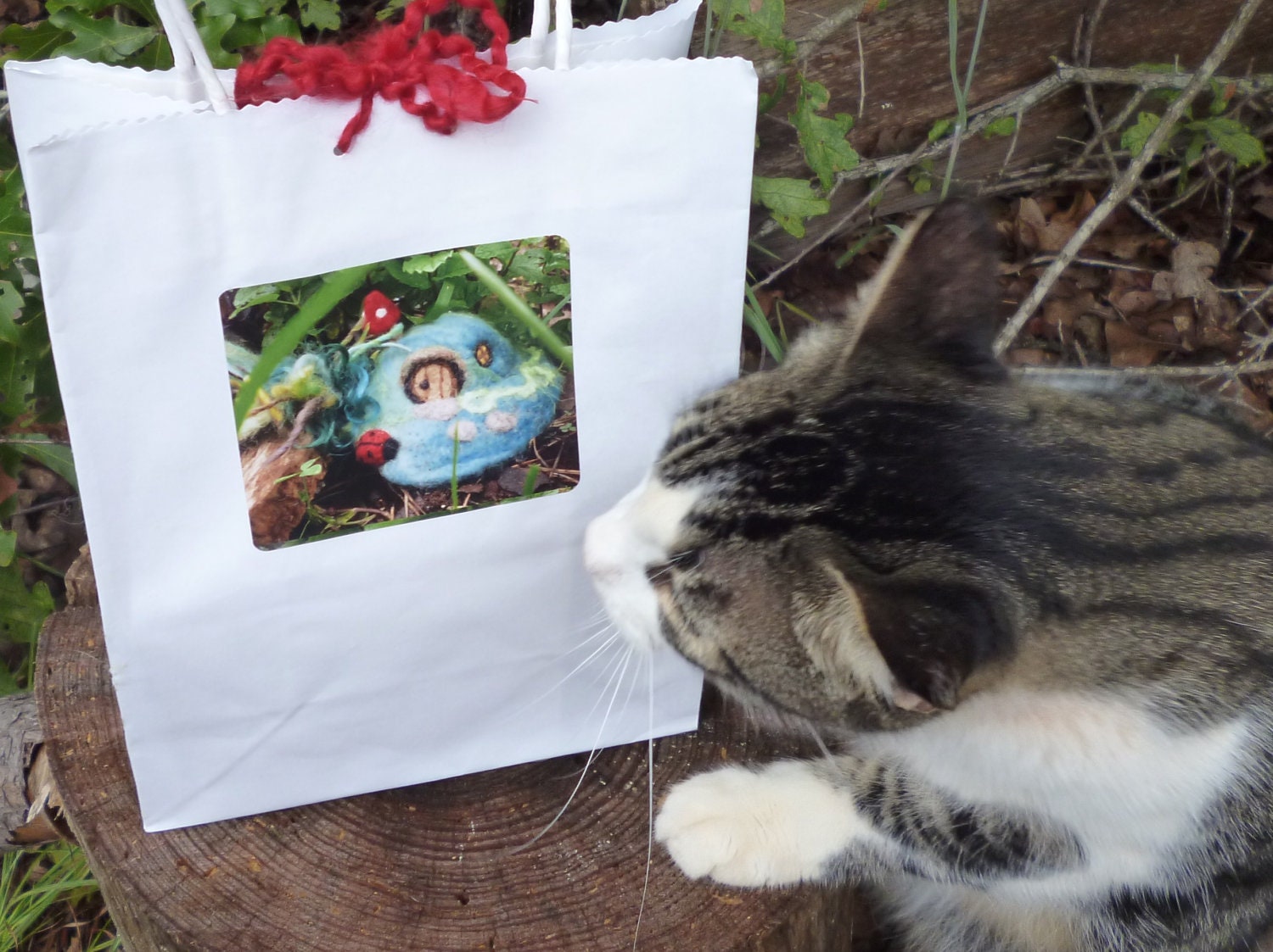 DIY Gnome Home Needle Felting Kit Fairy Garden Gift