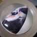 Tiffany Stone Cabochon Purple Orange Cream