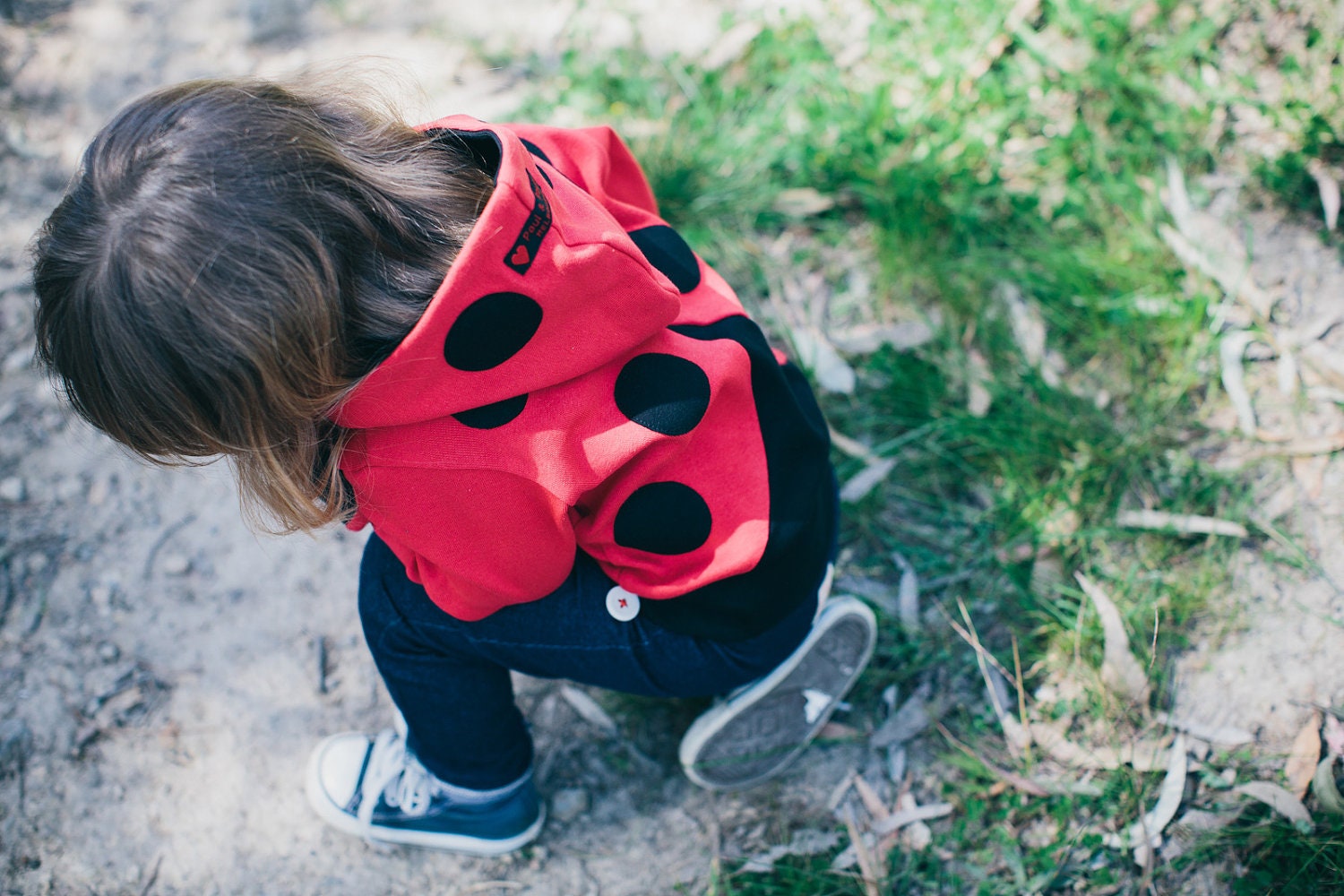 Ladybird Hoodie