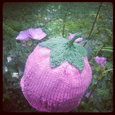 Flower Fairy Hat Baby 0 to 6 months Handknit in Maine Unique