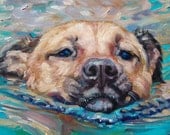 Swimming Dog Extraordinaire, CUSTOM Pet Portrait Oil Painting by puci, 10x10"