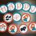 Brave Girl Party - Custom listing for Amy