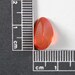 Red Orange Fire Opal From Opal Butte OBPAL13