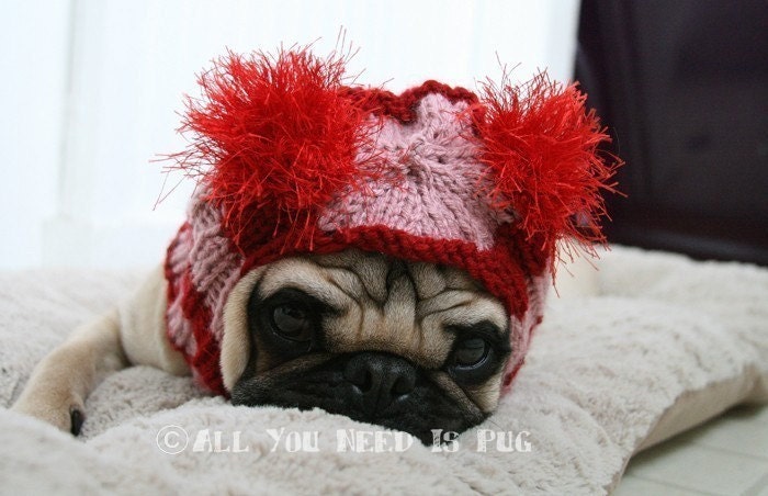 Dog Hat - Custom Snuggly Hat - The Original Pug Hat