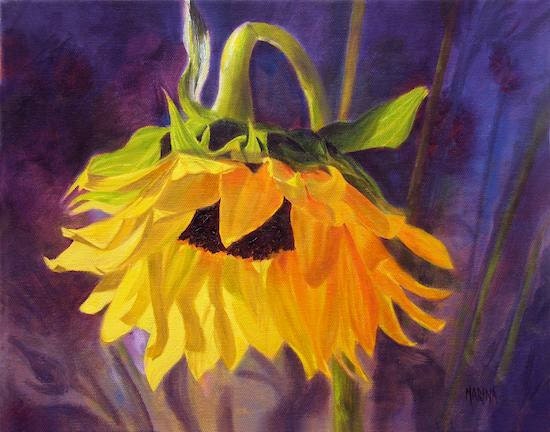 Sunflower Art Print, Flower,Floral Art, Sunflower Glow, Signed by Marina Petro