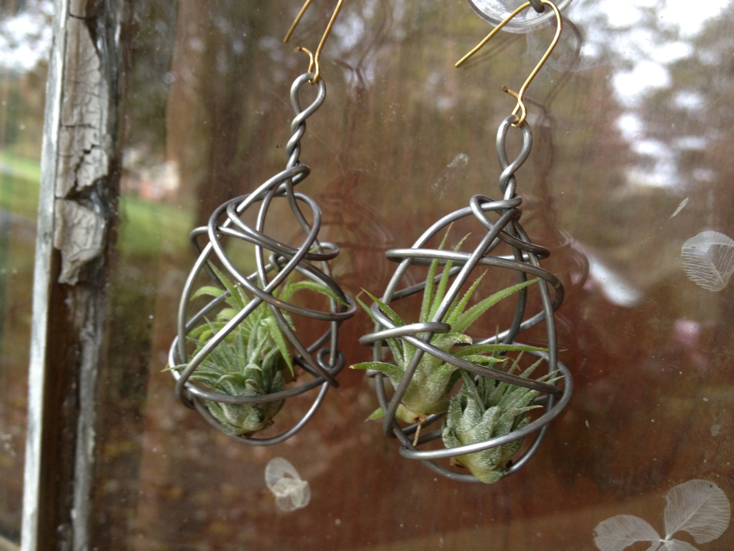 NEW DESIGN Pair of Living Air Plant Earrings