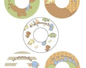 Baby Closet Dividers Organizer Clothing Dividers- DINOMITE
