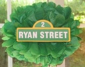 Street sign tissue paper pompom kit, inspired by Sesame Street