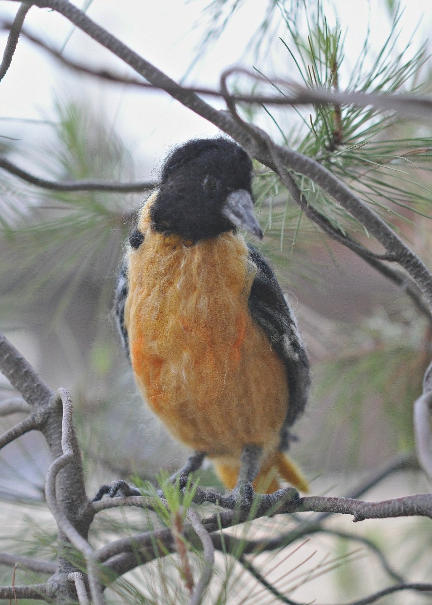Needle Felted  Wool Animals.OOAK Artist  Baltimore Oriole. Real size.Soft Sculpture. Needle felt by Daria-READY  to ShipLvovsky