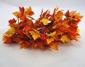 20 Autumn or Fall leaves picks - CraftSupplyHouse 20 Autumn or Fall leaves picks - CraftSupplyHouse