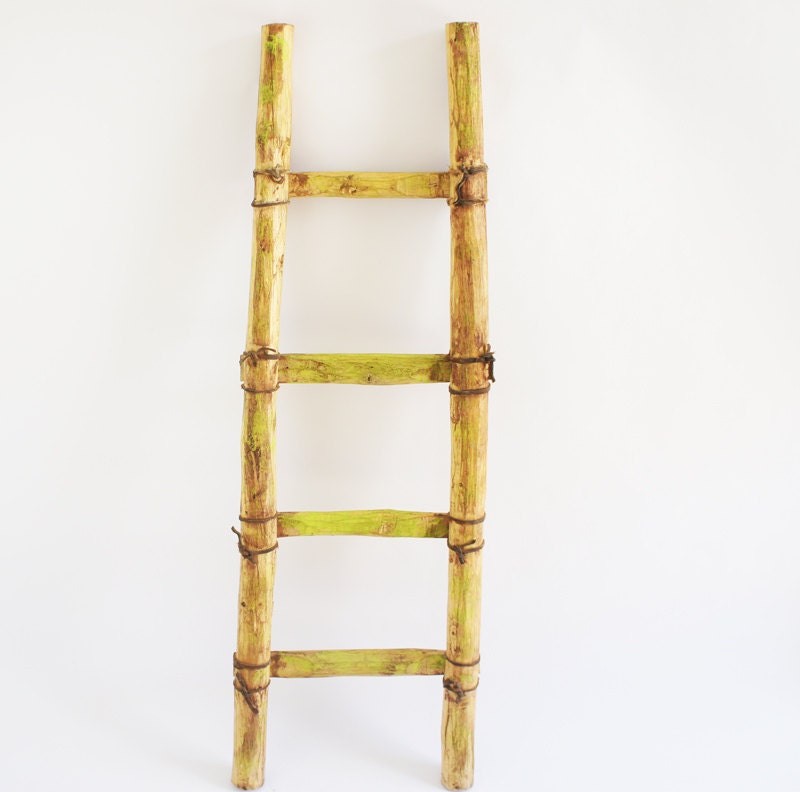 southwestern wood ladder