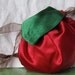 Apple Drawstring Bag, purse, tote, - Trick or Treat, Halloween, teacher gift