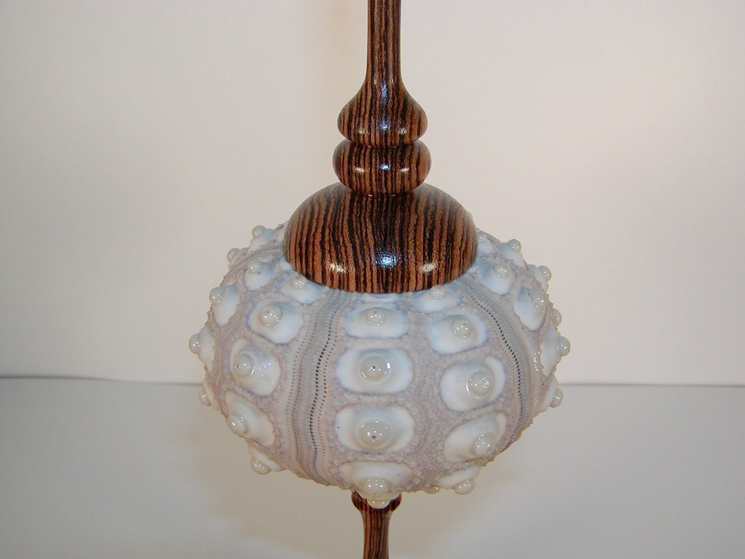 Sputnik Sea Urchin Shell & Exotic Bocote Wood Lidded Bowl