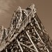 Roller Coaster Photo Picture Sepia 8 x 10 Fine Art Photographic Print Amusement Park Ride Game Home Decor For Him Antique Vintage Look