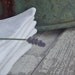 Vintage White Napkins Cotton