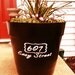 DIY vinyl decal for flower pot to add your address on it.