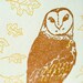 Letterpress Illustrated Series Card Pack- Seasons
