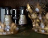 1920s Paris Opera glasses