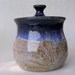 Salt cellar sugar bowl jar with lid