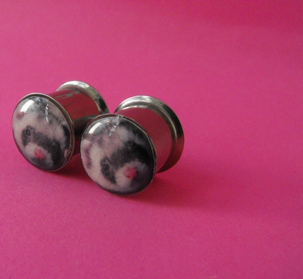 Ferret picture plugs gauges embedded resin filled - Made to Order 4, 2, 0, 00, 7/16, 1/2