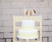 Blush Tassel Garland Cake Topper