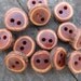 14 Dark Arborvitae Buttons.  Just Over .50 Inches Wide.