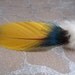Hair Clip - Rare Yellow Blue & Red Macaw Parrot Feather, w White Chinchilla Fur, w Peacock Feather on Large Alligator clip - OOAK