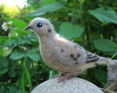 Needle felted Mourning Dove, life sized poseable bird