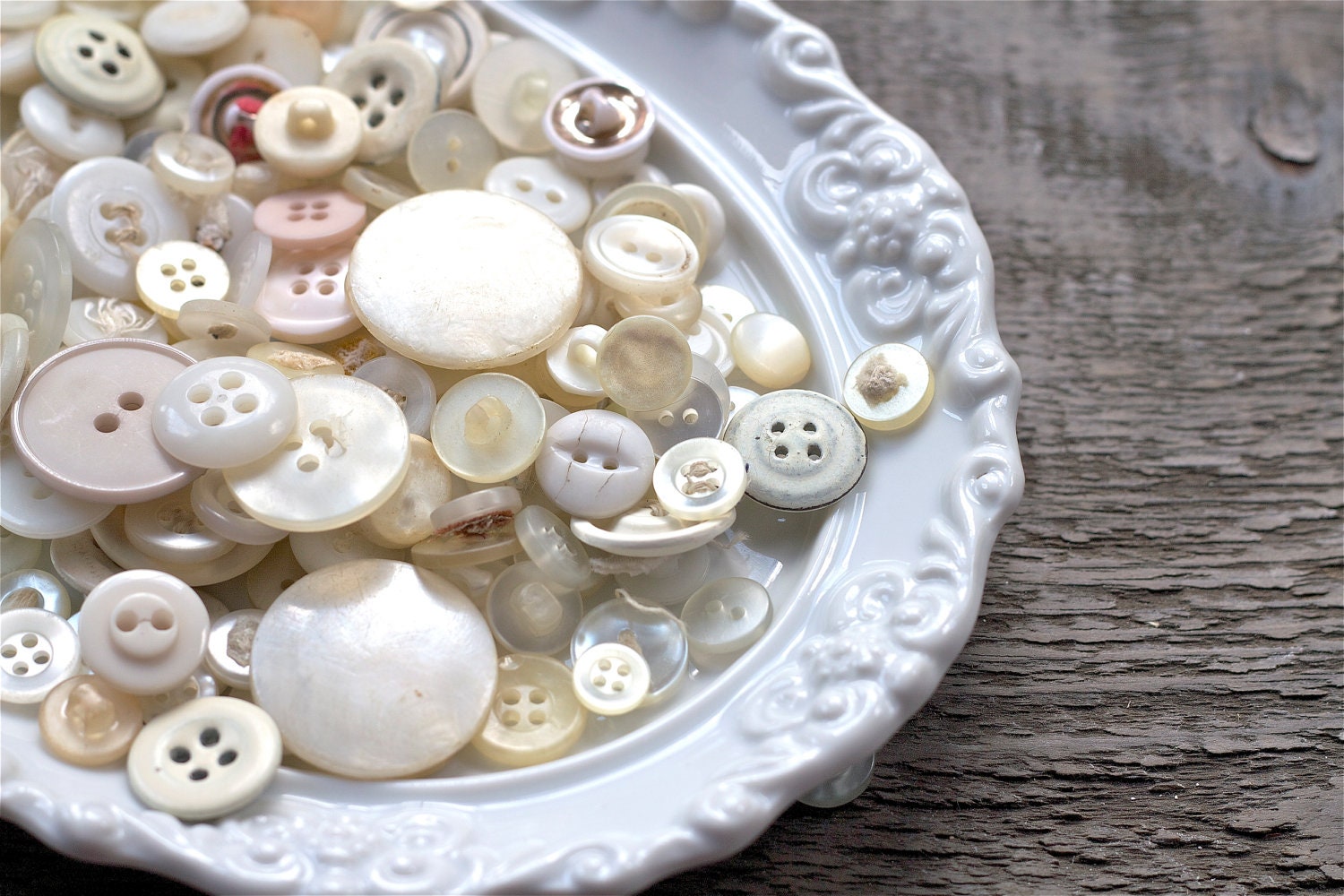 vintage china plate : white wall art by 24pont