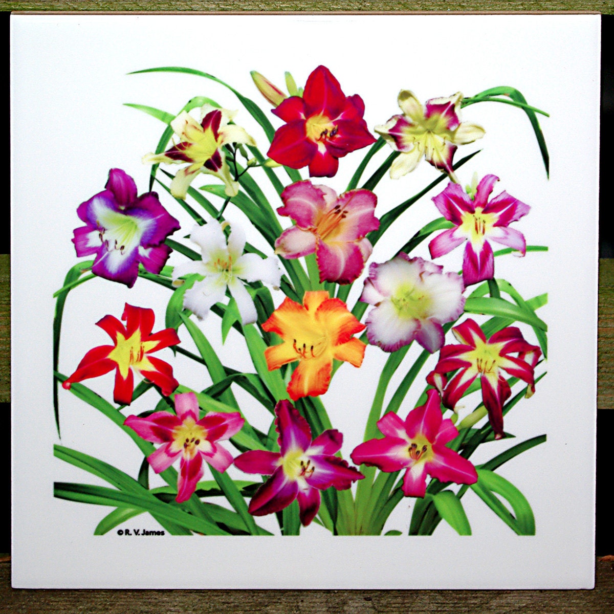 Daylilies 6-inch ceramic tile, floral trivet, flower, flowers, red, purple, gold, violet, decorater tile - RVJamesDesigns