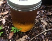 Wild Foraged Rose Syrup with Mint