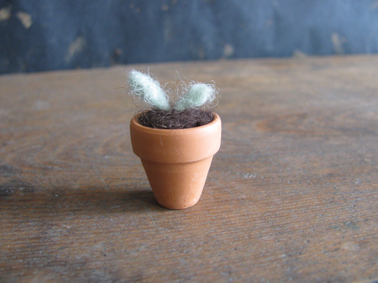 Felted wool seedling in an tiny terra cotta pot