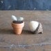 Felted wool seedling in an tiny terra cotta pot
