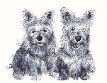 Pair of Scotties / Scotty Dog / Westies