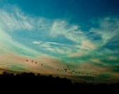 Turquoise Sky Welcome to my soul 4x6 Fine Art Photography Print