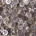 Smoky Mother of Pearl Buttons - Lot of over 100 Vintage Mixed Shell Buttons, 3/8 - 5/8 Inch