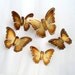 5 Gold Tone Butterfly Wall Hangings