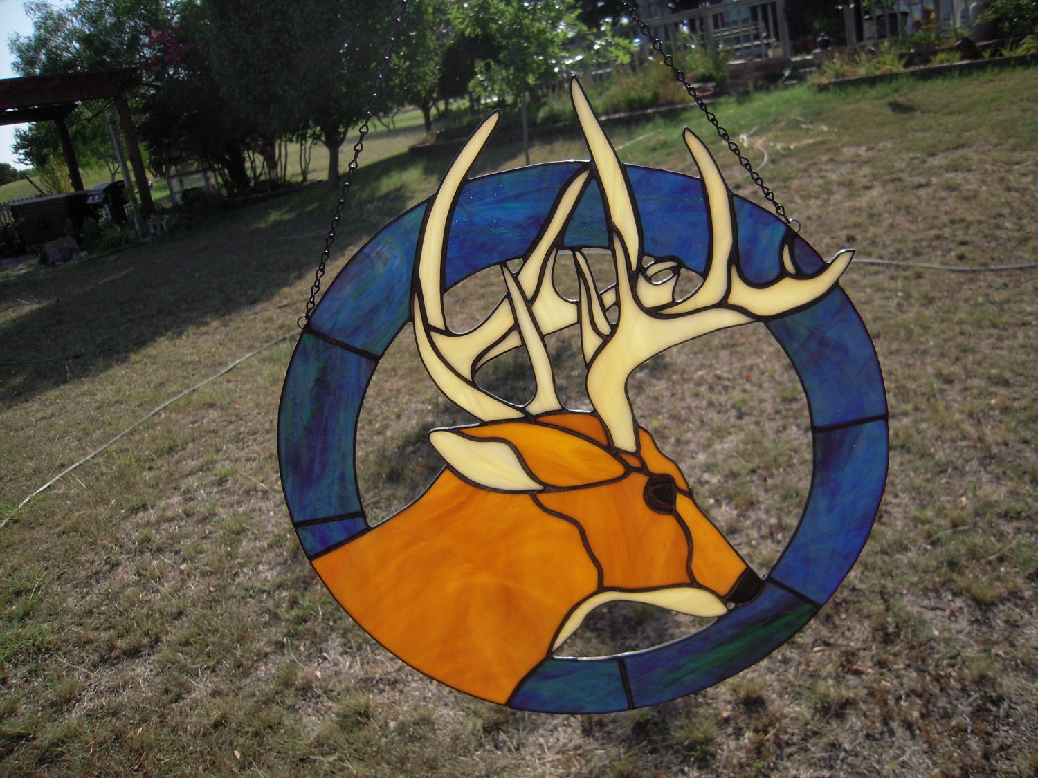 Stained Glass Buck