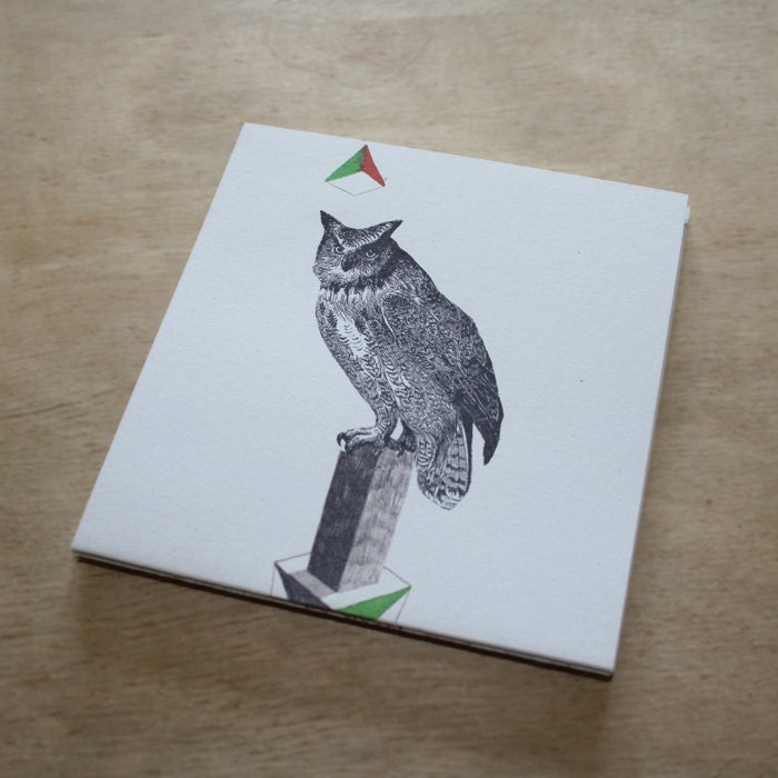 Owl Concertina