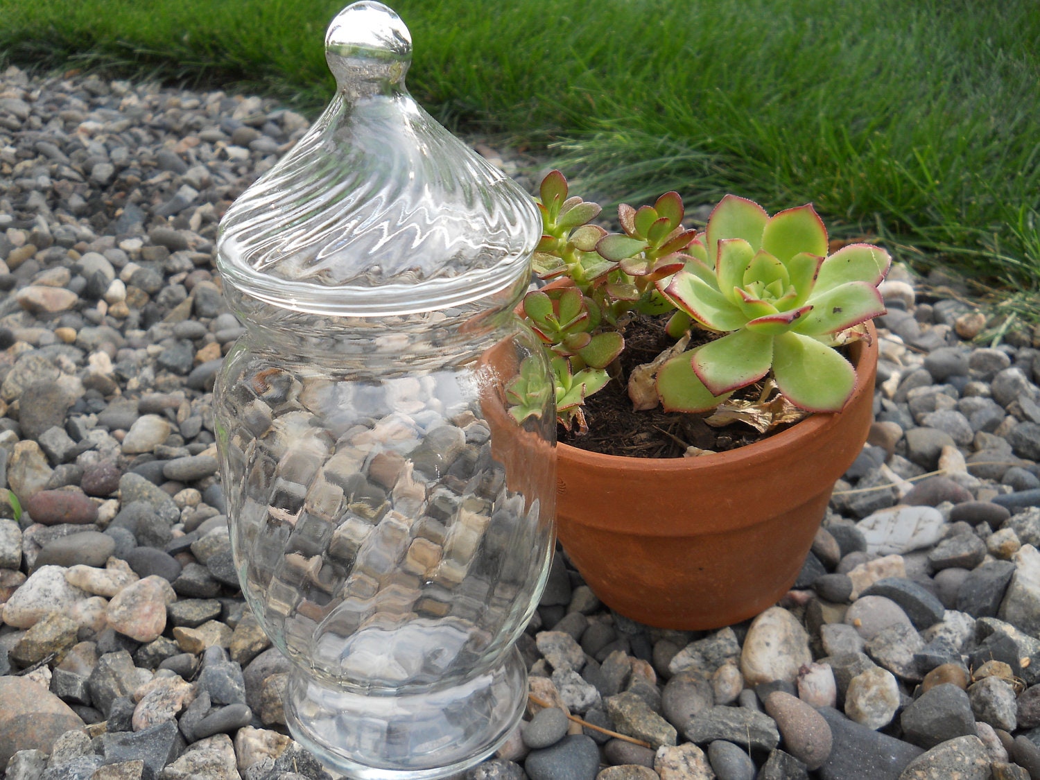 Vintage  Twisted Apothecary Jar