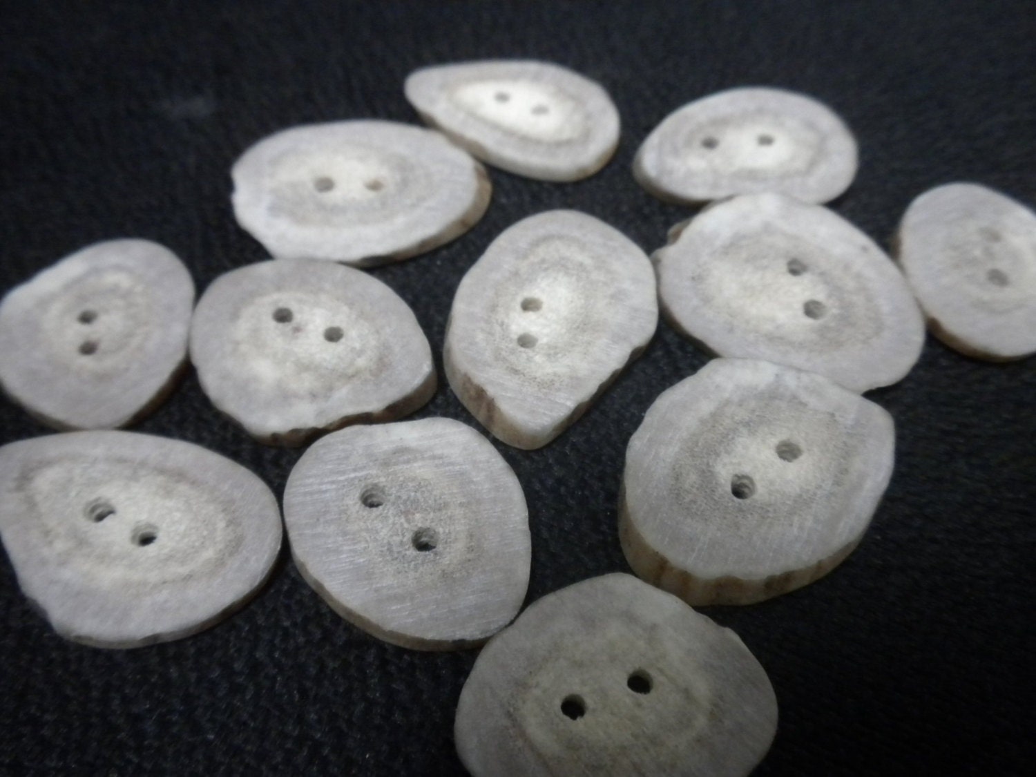 Natural Antler Buttons or Beads - Lot of 12 - Size Large