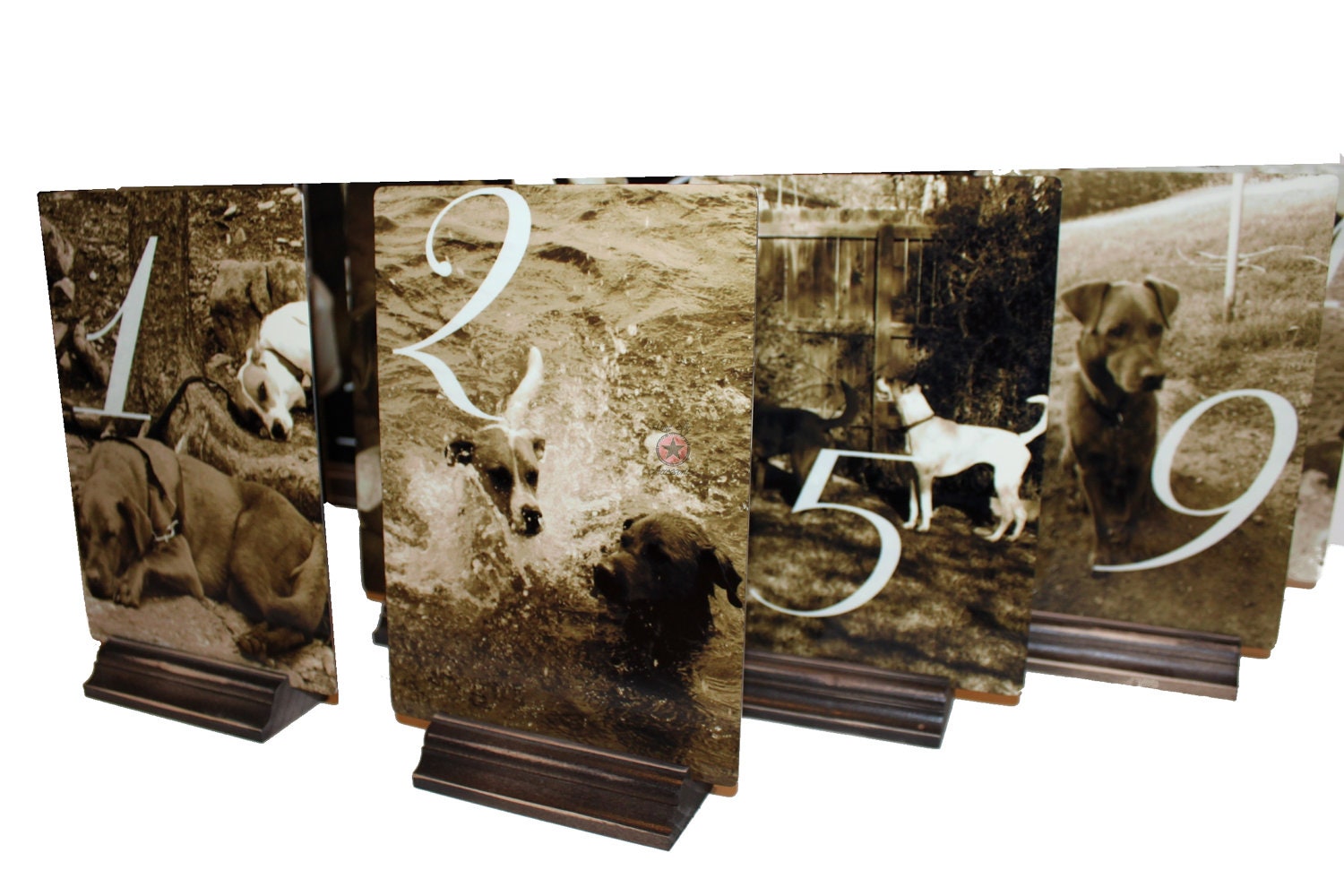 TABLE NUMBERS-High Resolution Metal Personalized  Wedding Table Numbers - Custom dispays make great Centerpieces-Place Cards