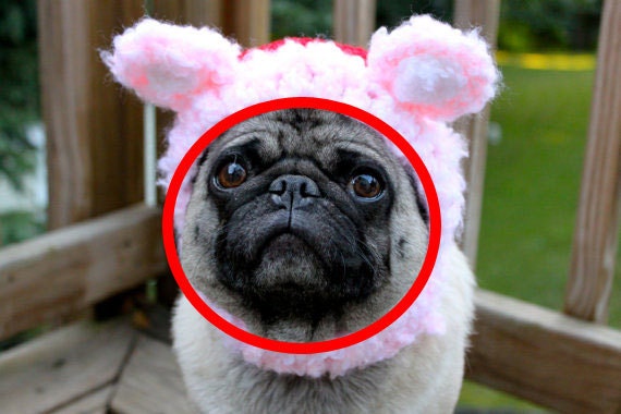 Magical Unicorn Dog Hat / Made to Order